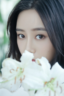 教父2